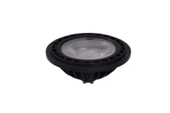AZzardo Żarówki Led<Żarówka LED WiFi ES111 Black 3000K 15W Smart - - smart home