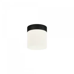 Nowodvorski Lampy Do Łazienki<Cayo black - - oprawa punktowa łazienkowa