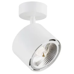 Argon Plafony Sufitowe I Ścienne|Lampy Do Sypialni, Oświetlenie Do Sypialni<Clevland 4702 BZ - - reflektor 1 pł.