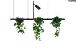 Moosee Żyrandole<Plant Line Czarna - - lampa wisząca